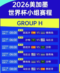 专用球